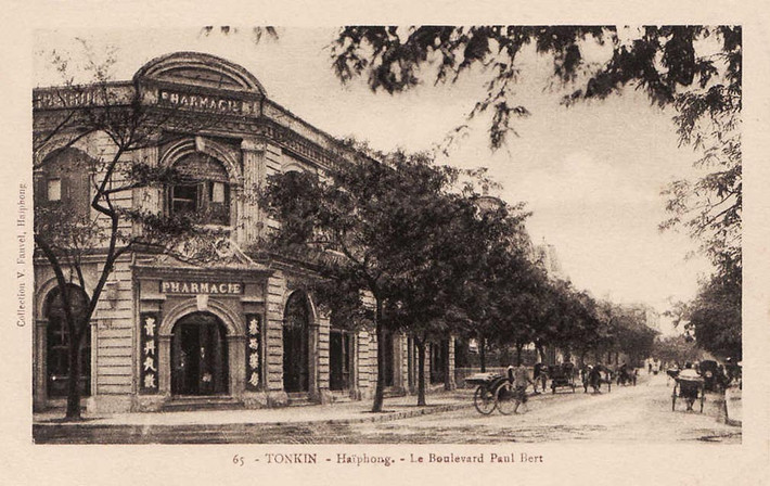 Đại lộ Paul Bert (nay là đường Điện Biên Phủ), Hải Phòng thời thuộc địa. Ảnh tư liệu.