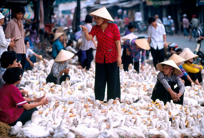 Những người phụ nữ ở chợ bán sỉ vịt và ngỗng họp ở khu Chợ Lớn, gần nhà thờ Cha Tam, TP HCM năm 1996. Ảnh: Hiroji Kubota/ Magnum Photos.