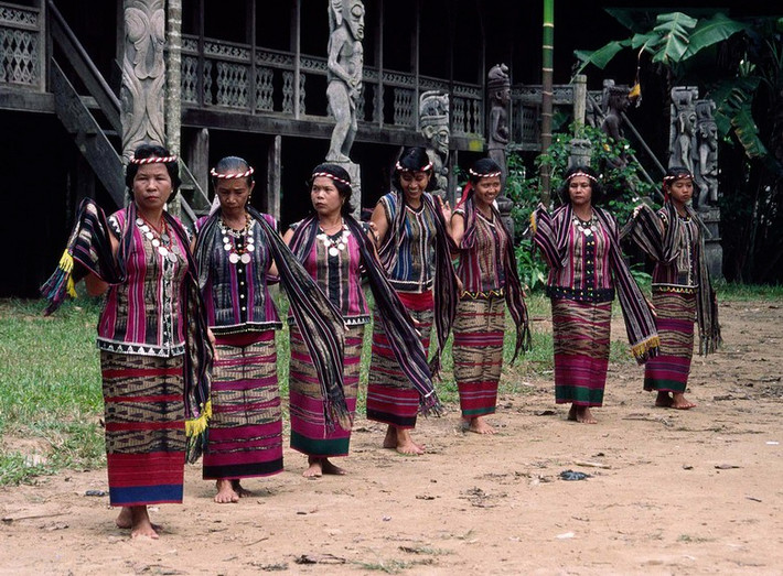 Người Dayak có nhiều phong tục dân gian giống người Việt cổ thời Hùng Vương như tục dựng cây nêu, cưới hỏi, cải táng, tín ngưỡng phồn thực, xăm mình...