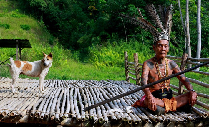 1. Nhiều nhà nghiên cứu cho rằng tộc người Dayak sống trên đảo Boerneo, là hậu duệ của người Việt cổ ở Indonesia. Tộc người này nổi tiếng với tục săn đầu người giữa các bộ tộc.