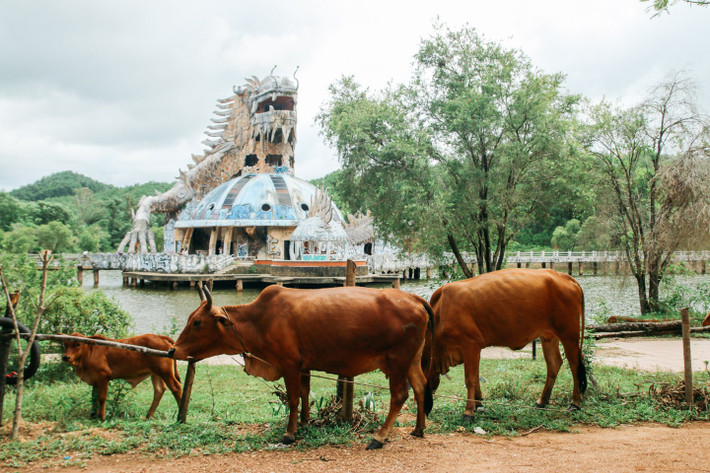 1. Hồ Thủy Tiên, Huế. Theo Matthew Pike, hồ Thủy Tiên không chỉ là một trong những địa điểm kỳ lạ nhất Việt Nam mà còn nằm trong danh sách những điểm đến kỳ lạ của thế giới.