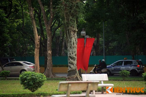 Một khi đa bóp cổ đã phát tán rộng trên cây chủ thì việc loại bỏ chúng là điều không thể.