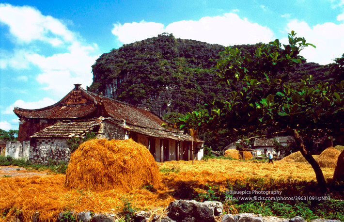Mảnh sân mùa gặt ở Tam Cốc.