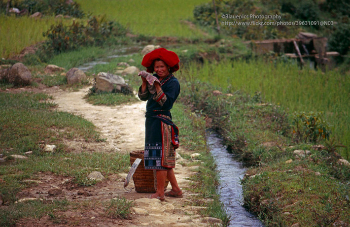 Người phụ nữ Dao Đỏ trên đường về bản.
