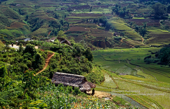 Bức tranh đồng quê bình dị ở Sa Pa năm 1998.