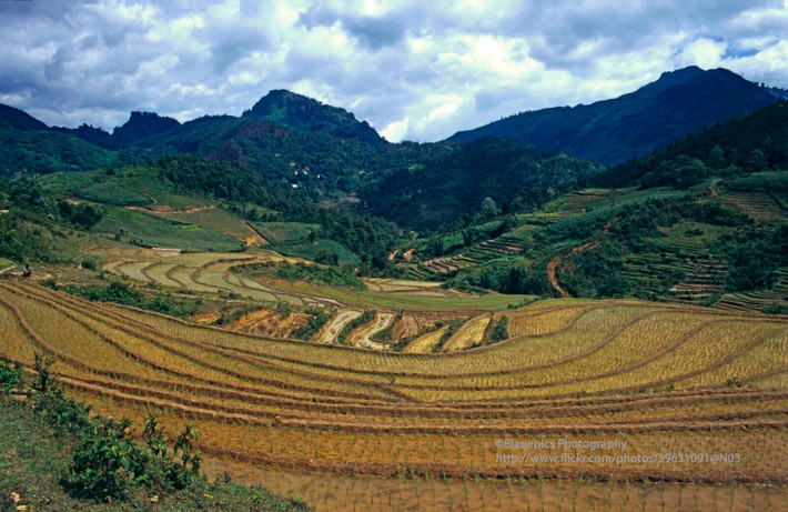 Đồi núi và ruộng bậc thang Sa Pa.