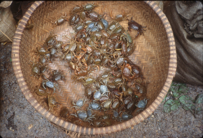 Rổ cua đồng ngoài chợ.