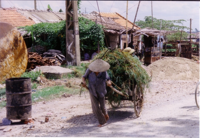 Người nông dân kéo xe chở lúa trên đường lộ.