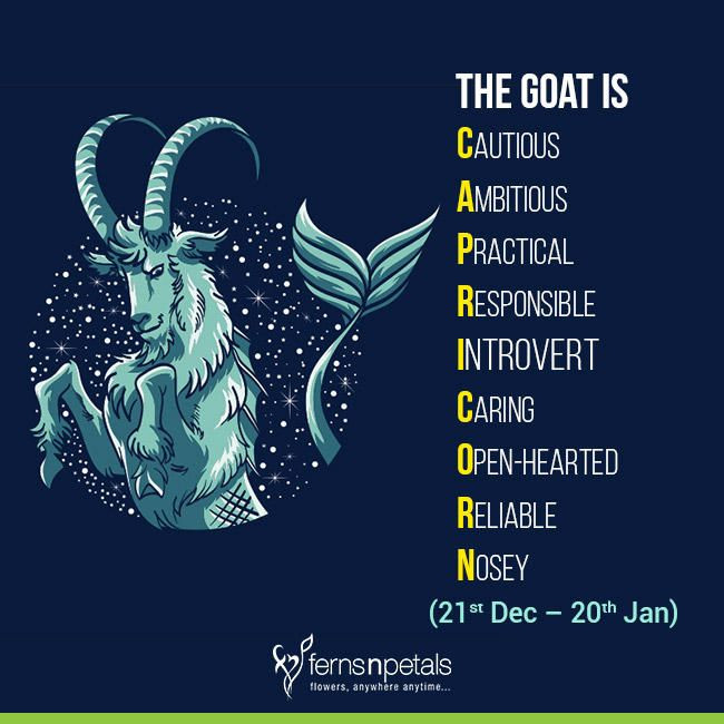 Ma Kết (Capricorn - Con dê: 22/12 - 19/1): Tham vọng, kiên định. Bảo Bình (Aquarius - Người mang nước, 20/1 - 18/2): Sáng tạo, độc lập. Song Ngư (Pisces – Hai con cá, 19/2 - 20/3): Mơ mộng, trực giác. Ảnh: Pinterest.