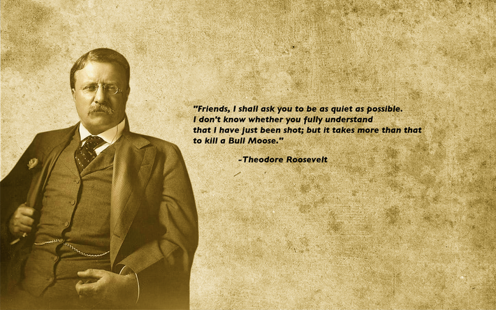 Di sản: Roosevelt là người thúc đẩy chính sách "Square Deal" với trọng tâm là bảo vệ người lao động và bảo tồn tài nguyên thiên nhiên. Ông cũng là người mở rộng sức mạnh của Tổng thống trong chính sách đối ngoại, đặc biệt là việc xây dựng kênh đào Panama. Ảnh: Pinterest.