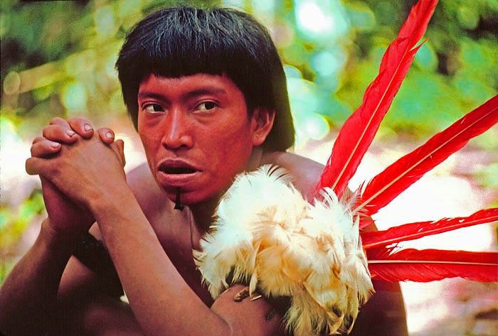 Bộ tộc Yanomami (Brazil và Venezuela) - Ăn tro cốt người thân. Bộ tộc này tin rằng linh hồn người chết sẽ trở về với bộ tộc thông qua nghi thức ăn tro cốt. Họ đốt xương của người thân đã khuất, trộn tro với thức ăn và ăn để linh hồn của họ tiếp tục sống trong cộng đồng. Ảnh: Pinterest.