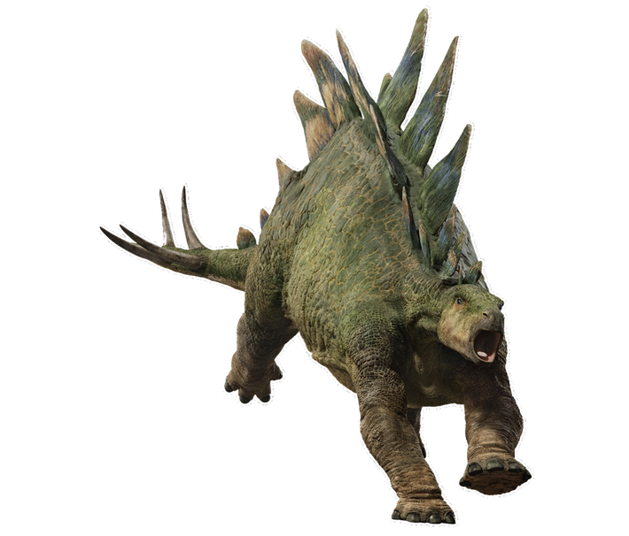 9. Chân trước ngắn hơn chân sau. Stegosaurus có đôi chân trước ngắn hơn nhiều so với chân sau, khiến phần lưng của nó nghiêng về phía trước. Điều này ảnh hưởng đến cách di chuyển và tư thế của loài này. Ảnh: Pinterest.