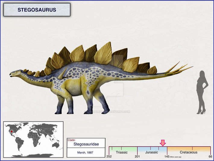 7. Kích thước khổng lồ. Mặc dù có bộ não nhỏ, Stegosaurus là một loài khủng long khổng lồ, nặng từ 5–7 tấn, tương đương với một chiếc xe tải lớn. Ảnh: Pinterest.