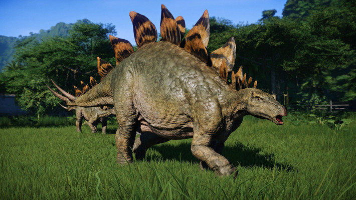 1. Tấm xương trên lưng. Stegosaurus có từ 17 đến 22 tấm xương lớn (gọi là plates) chạy dọc theo lưng. Những tấm này không gắn trực tiếp vào xương sống mà được neo vào da. Ảnh: Pinterest.