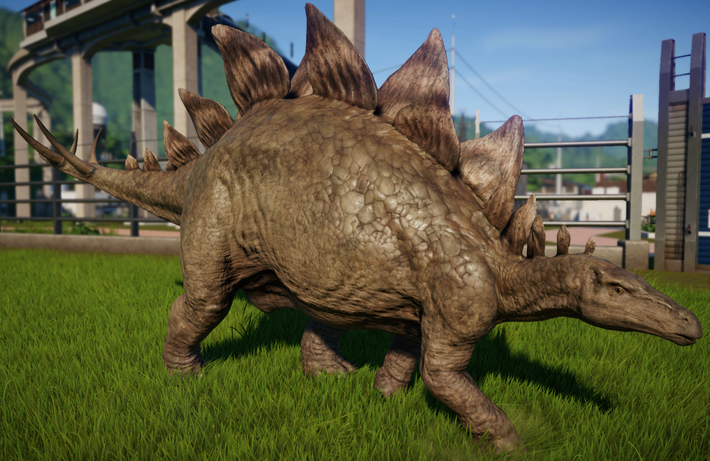 6. Bộ não nhỏ. Stegosaurus nổi tiếng với bộ não nhỏ bé, chỉ nặng khoảng 80–90 gram, tương đương kích thước của một quả óc chó. So với cơ thể dài 9 mét, đây là một trong những tỷ lệ não trên cơ thể nhỏ nhất trong giới động vật. Ảnh: Pinterest.