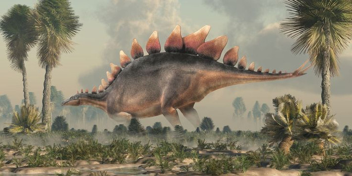 20. Biểu tượng của bang Colorado. Stegosaurus được chọn làm biểu tượng hóa thạch chính thức của bang Colorado, Hoa Kỳ, nơi nhiều hóa thạch của nó được tìm thấy. Ảnh: Pinterest.