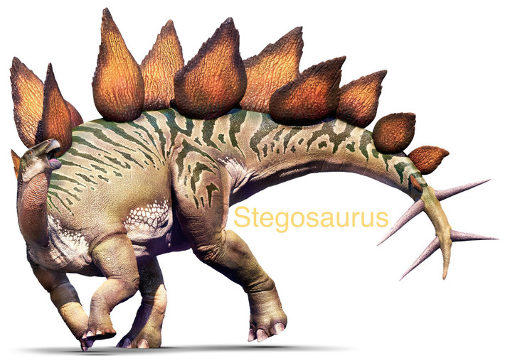 12. Phân bố địa lý. Hóa thạch của Stegosaurus chủ yếu được tìm thấy ở Bắc Mỹ, đặc biệt là ở Colorado, Utah, và Wyoming. Một số hóa thạch cũng được phát hiện ở châu Âu và châu Á. Ảnh: Pinterest.