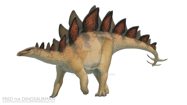 16. Hệ tiêu hóa đặc biệt. Stegosaurus có một hệ tiêu hóa mạnh mẽ với dạ dày lớn để phân hủy thực vật, nhưng nó cần ăn số lượng lớn thức ăn mỗi ngày để duy trì cơ thể. Ảnh: Pinterest.