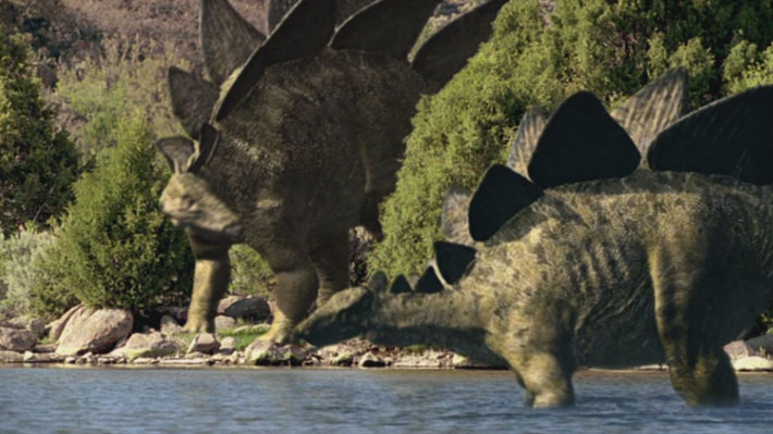 15. Di chuyển chậm. Với cấu trúc cơ thể nặng nề và đôi chân ngắn, Stegosaurus là một loài khủng long di chuyển chậm, tốc độ tối đa chỉ khoảng 5–7 km/h. Ảnh: Pinterest.
