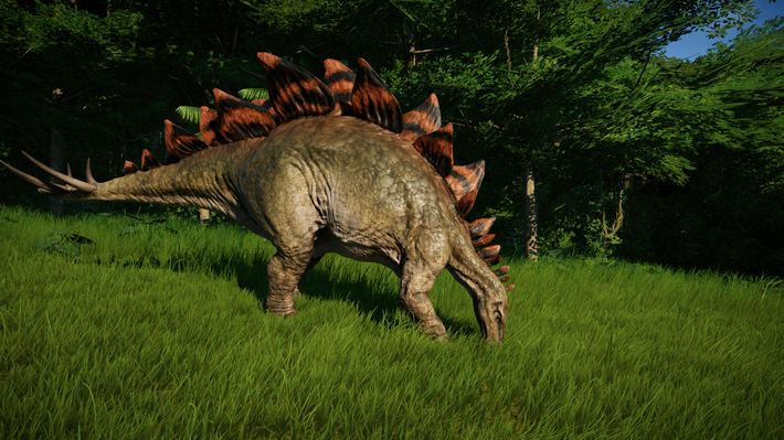 11. Sống ở Kỷ Jura muộn. Stegosaurus sống vào khoảng 150 triệu năm trước, trong Kỷ Jura muộn, cùng thời với các loài khủng long nổi tiếng khác như Allosaurus và Brachiosaurus. Ảnh: Pinterest.