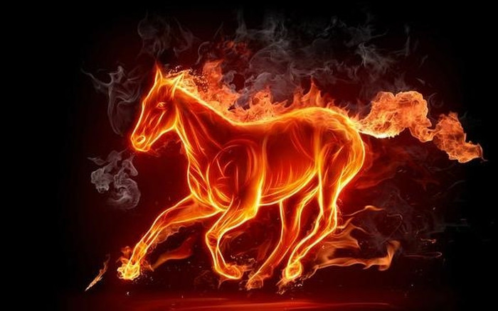 Để hạn chế rủi ro, Ngọ cần thận trọng trước những quyết định quan trọng. Đừng dễ dàng tin tưởng bất cứ ai, cũng đừng cho ai vay mượn tiền bạc kẻo tiền mất tật mang.