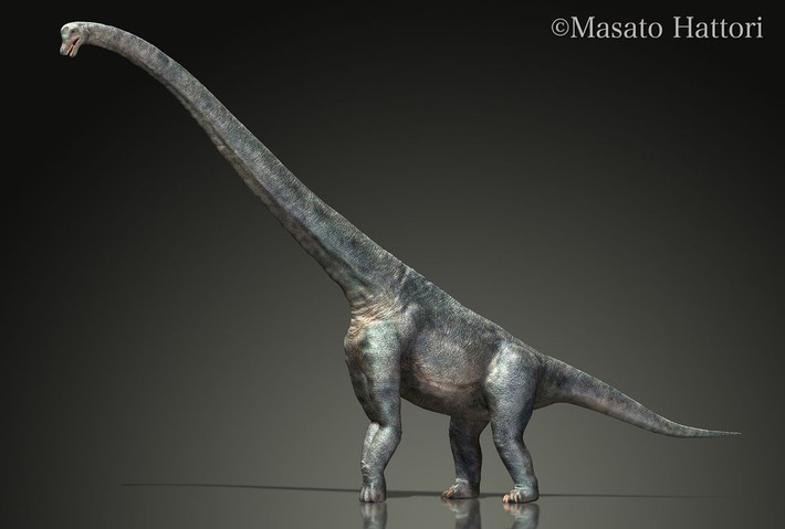 13. Phân bố trên toàn cầu. Hóa thạch của Sauropoda đã được tìm thấy trên mọi lục địa, kể cả Nam Cực, cho thấy chúng từng có mặt ở khắp nơi trên Trái Đất. Ảnh: Pinterest.