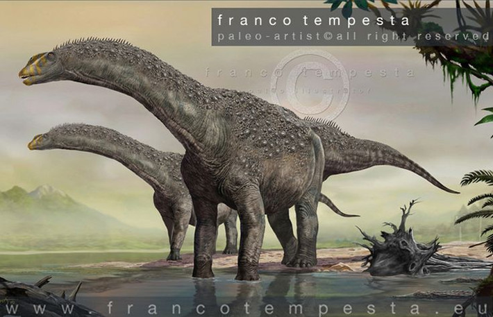 9. Sống theo bầy đàn. Sauropoda thường sống theo bầy đàn lớn để tự vệ và bảo vệ con non khỏi các loài săn mồi như Allosaurus hay Tyrannosaurus. Ảnh: Pinterest.