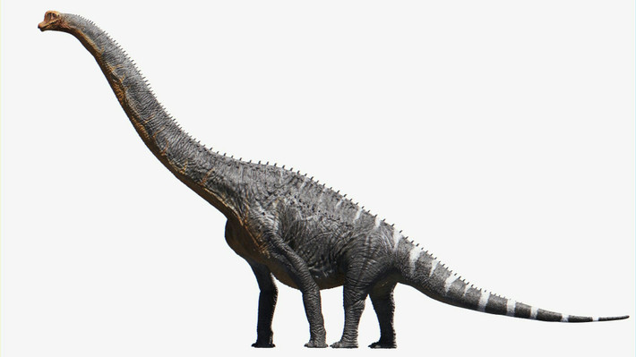 15. Sự tuyệt chủng. Sauropoda hầu hết đã tuyệt chủng vào cuối kỷ Jura, nhưng một số vẫn tồn tại đến cuối kỷ Phấn Trắng trước khi bị tuyệt diệt cùng với các loài khủng long khác. Ảnh: Pinterest.