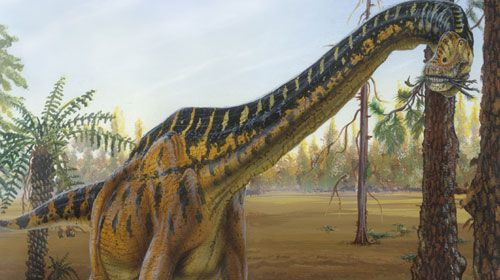 6. Hệ thống dạ dày hỗ trợ. Chúng có thể sử dụng dạ dày có chứa đá (gastrolith) để nghiền nát thức ăn bên trong bụng, giống như cách chim hiện đại làm. Ảnh: Pinterest.