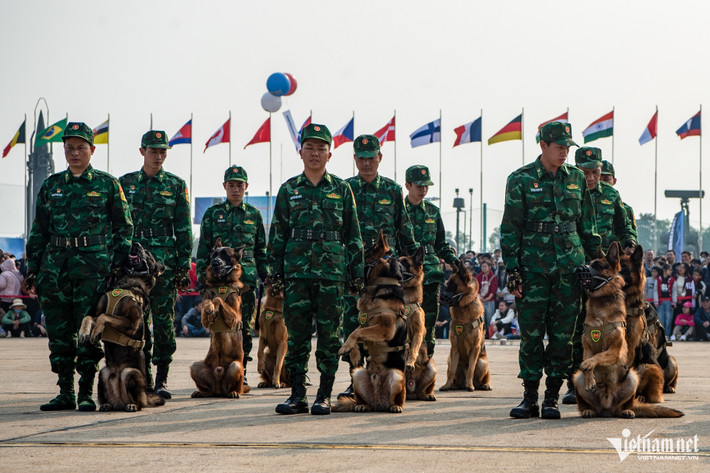 15h30 ngày 21/12, trong ngày đầu mở cửa phục vụ người dân tham quan Triển lãm Quốc phòng quốc tế Việt Nam 2024, 118 quân khuyển trình diễn hôm khai mạc đã trở lại biểu diễn phục vụ du khách.