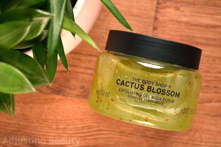 Thuốc và mỹ phẩm: Gel chiết xuất từ một số loài xương rồng có đặc tính chữa bệnh, làm dịu da, và được sử dụng trong các sản phẩm mỹ phẩm. Ảnh: Pinterest.