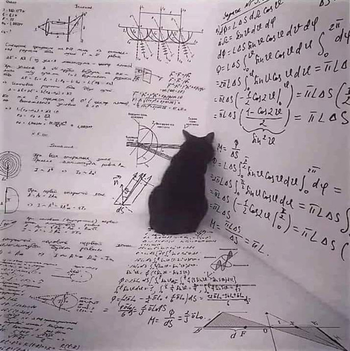 Nghịch lý con mèo Schrödinger: Một con mèo tưởng tượng trong hộp vừa sống vừa chết, cho đến khi bạn quan sát nó. Đây là cách minh họa siêu vị trí. Ảnh: Pinterest.