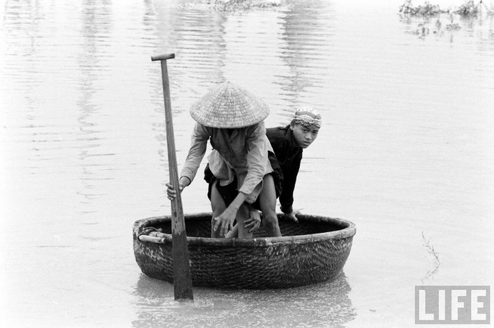 Cuộc mưu sinh trên sông nước.