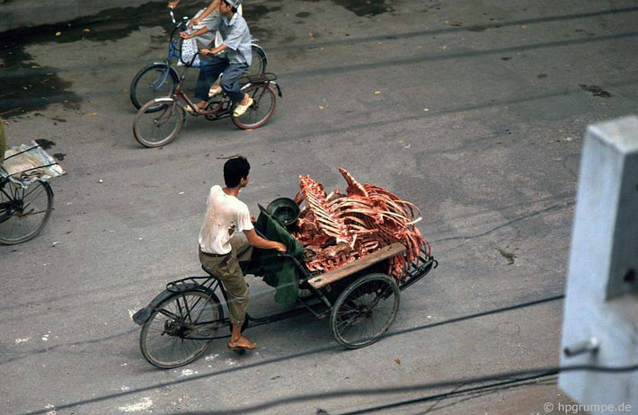 Xe xích lô chở xương bò, vật liệu dùng để nấu nước phở, 1992.