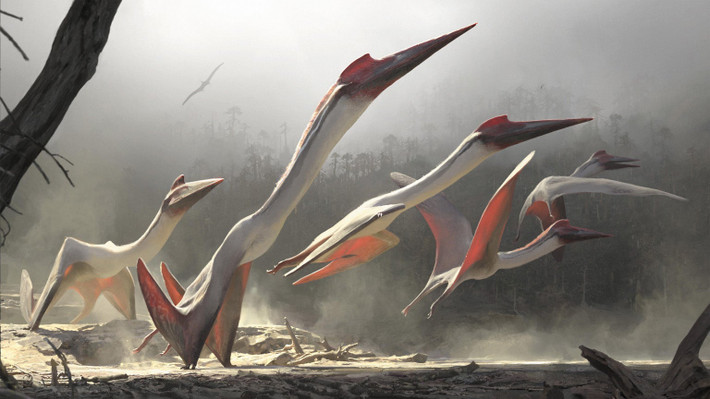 Nhiều khả năng Quetzalcoatlus chỉ là những con vật vụng về khi ở trên mặt đất. Chúng dễ dàng bị phục kích trở thành mồi ngon cho những loài khủng long ăn thịt có trọng lượng lớn gấp nhiều lần.