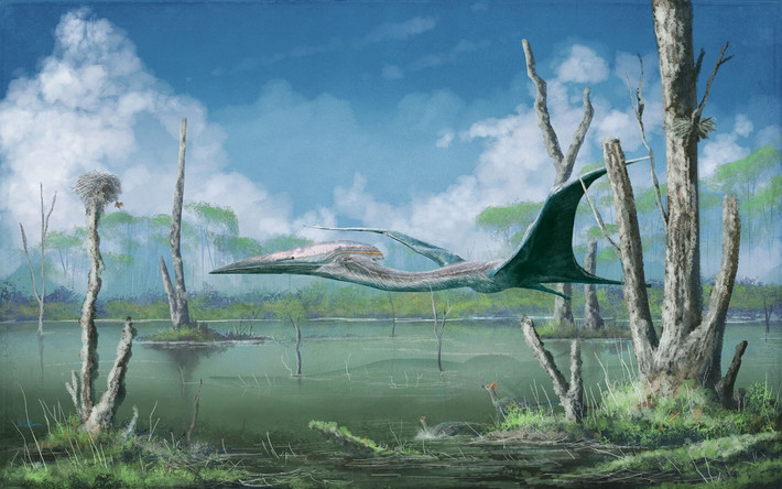Quetzalcoatlus có trọng lượng rất nhẹ so với dáng vẻ "cồng kềnh" là nhờ bộ xương có cấu trúc rỗng. Đây cũng là yếu tố quyết định đến khả năng bay lượn của chúng.