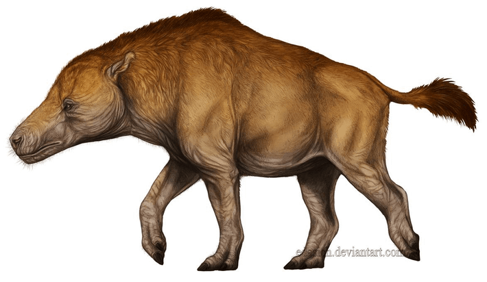 Theo ước lượng, một con Andrewsarchus trưởng thành dài khoảng 4 mét, nặng 800 kg, có bề ngoài hơi giống linh cẩu với phần thân trước cao hơn.