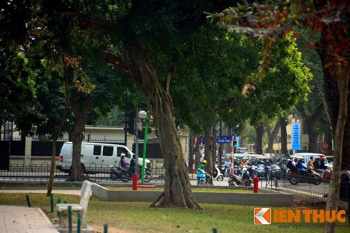Hiện tượng đa bóp cổ là một minh chứng cho sự khắc nghiệt của cuộc đấu tranh sinh tồn trong tự nhiên.