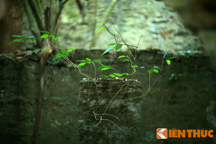 Sự trường tồn của thiên nhiên và sự ngắn ngủi của đời sống con người là điều có thể cảm nhận được trong khung cảnh hoang tàn ở nơi đây.