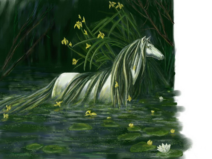 Một dị bản khác của Kelpie là quái vật Glashtyn, sống trên đảo Nykur, Ireland. Glashtyn.