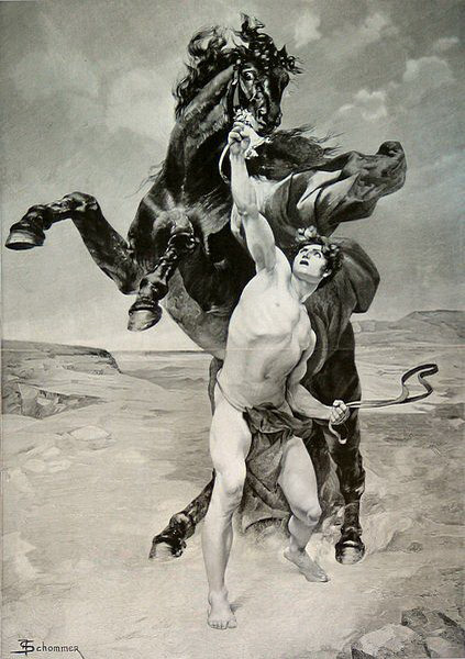 Bucephalus là con chiến mã mà Alexander đại đế đã sử dụng trong các cuộc chiến tranh, và có lẽ là con ngựa nổi tiếng nhất thế giới cổ đại. Sử liệu cổ cho rằng Bucephalus đã chết sau trận Hydaspes năm 326 TCN và được chon cất ở Jhelum, Pakistan.