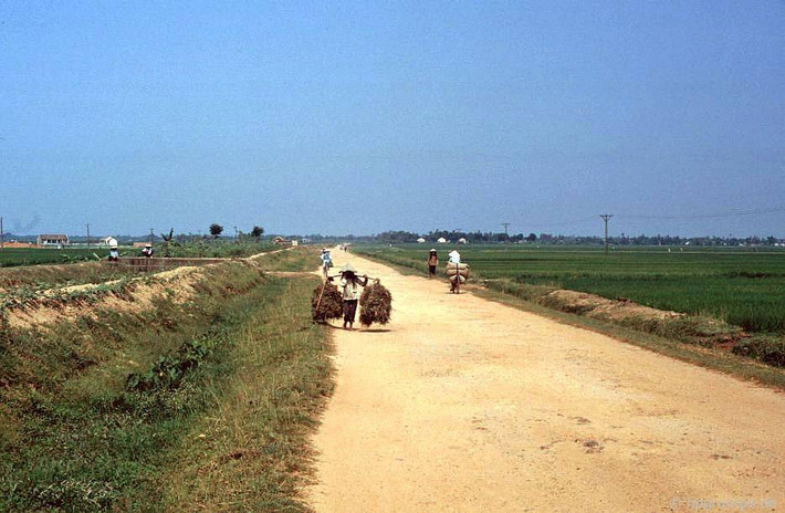 Đường đến làng tranh Đông Hồ (Song Hồ, huyện Thuận Thành, tỉnh Bắc Ninh).
