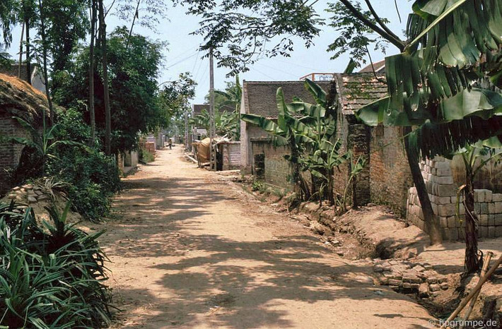 Trên một con đường của làng Đông Hồ.