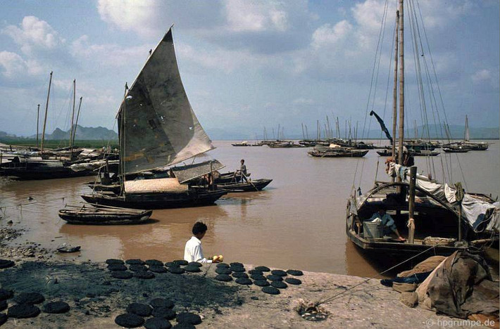 Các bánh than được phơi ở bến tàu bãi Cháy.