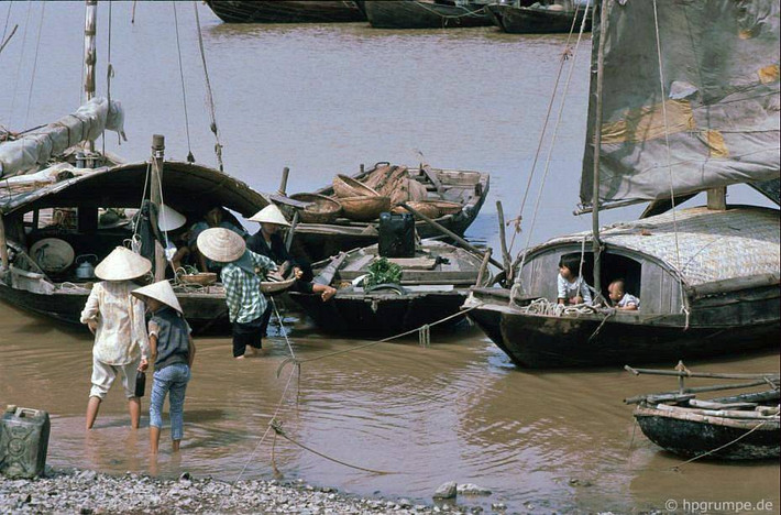 Ngư dân ở Bãi Cháy.