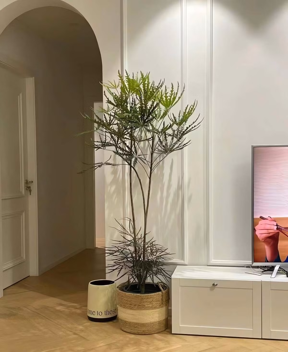 Cây cảnh hỗ trợ đuổi muỗi nhờ tinh dầu tự nhiên trong lá.