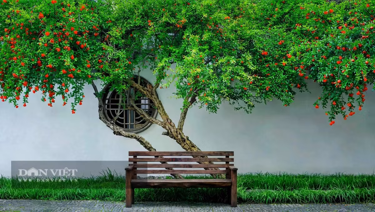 Vị ngọt ấy là vị của no đủ, của viên mãn.