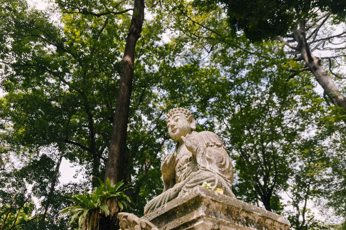 Giữa khu vườn này là 2 bức tượng Phật, được một phụ nữ người Pháp có địa vị tặng cho Tổng lãnh sự quán từ năm 1960 sau khi bà quay về Pháp. Bức tượng nằm dưới những tán cây cổ thụ rợp bóng.