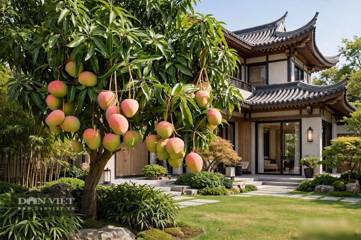 Trồng cây cảnh này không khó