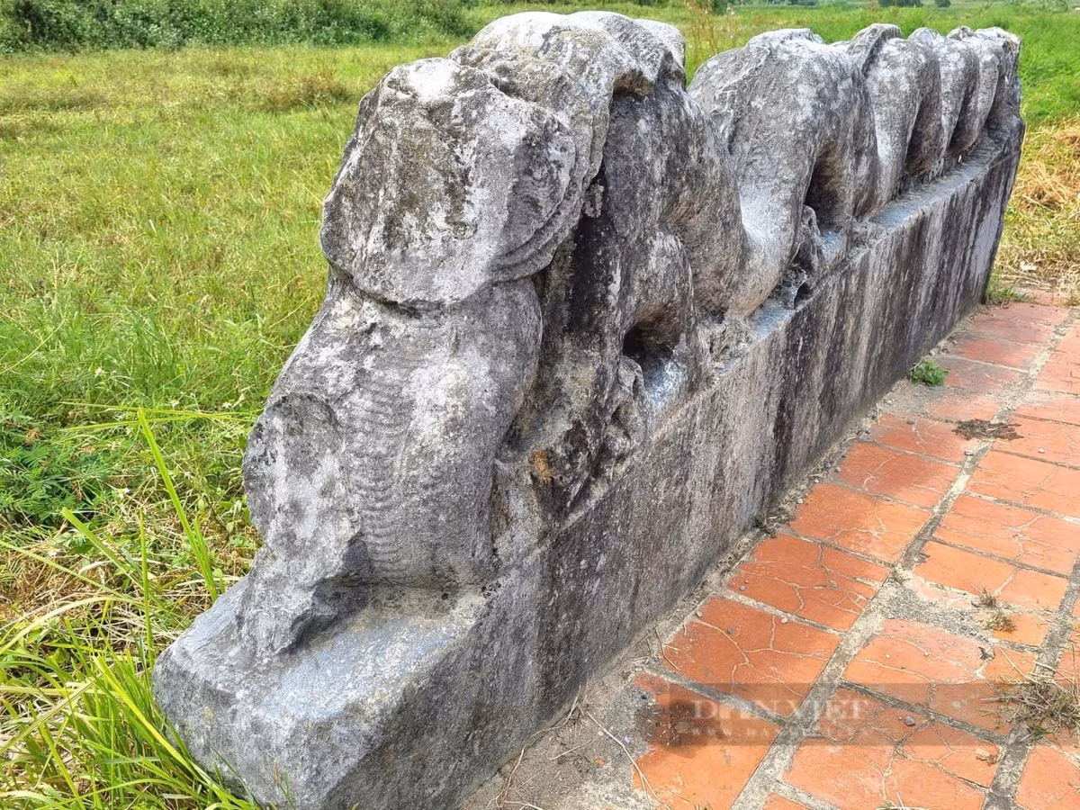 Nhiều lần khai quật khảo cổ nhưng không tìm thấy mảnh vỡ nào được xác định là đầu của đôi rồng. Ảnh: VT